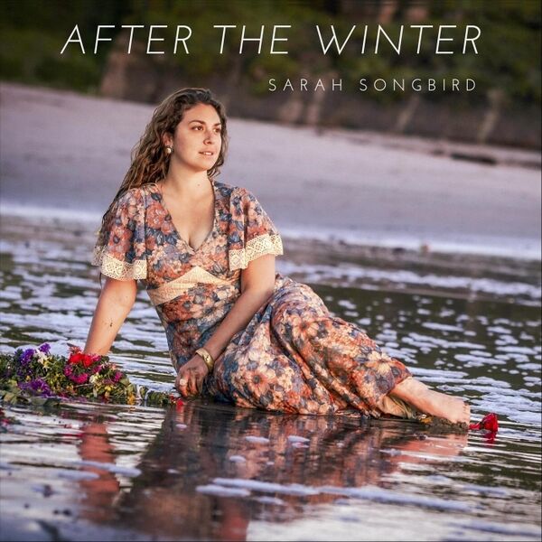 Cover art for After the Winter